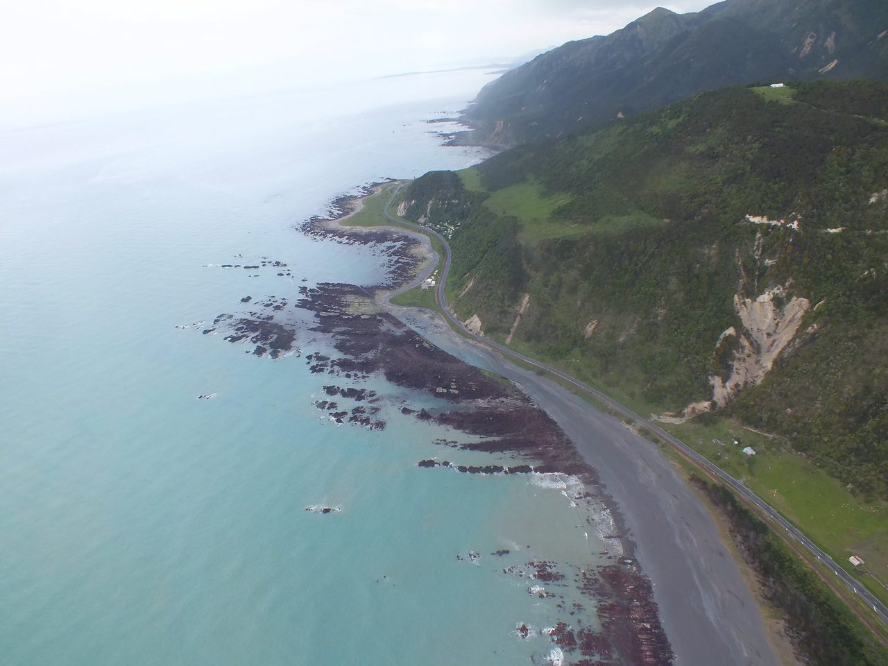Imagen: lecho marino expuesto por levantamiento de la zona costera de Kaikoura, Nueva Zelanda.