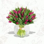 banner_flores