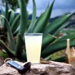 interna-pulque