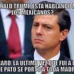 meme-epn (8)