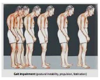 Caminata y vejez  Fernanda Familiar