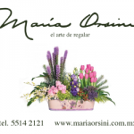 box-banner-maria-orsini