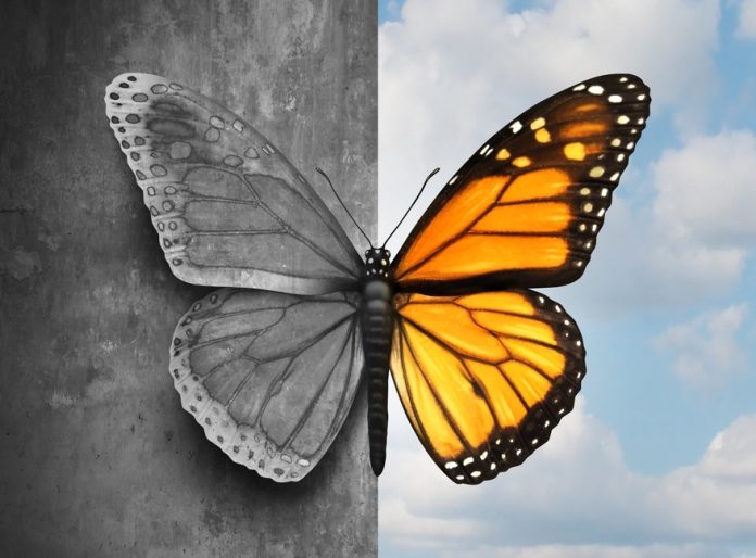Bipolar Mental Disorder