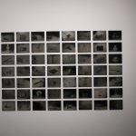 Obra de Patricia Lagarde