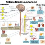 interna norma