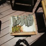 Quesadilla de Huitlacoche con Vino Rosado Grenache