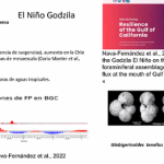 Captura de pantalla 2025-07-02 152311