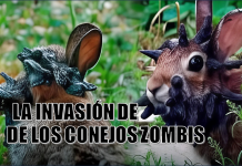 conejo zombie