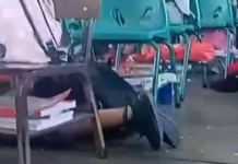 «Reciten la tabla del ocho»: Maestra protege y distrae a sus alumnos durante una balacera