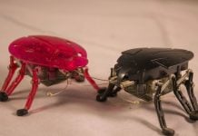 Alemania apuesta por cucarachas espía y robots con IA para cambiar la guerra moderna