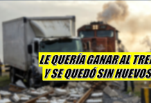 Camión quiso ganarle al tren… y perdió hasta los huevos