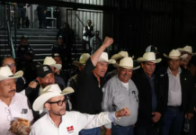 Productores y transportistas rompen diálogo con el Gobierno Federal y anuncian bloqueos nacionales si no hay respuesta