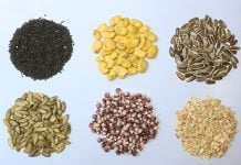 Semillas mexicanas UNAM