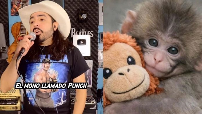 monito punch corrido monito punch corrido