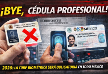 Ya no podrás usar la cédula profesional como identificación oficial