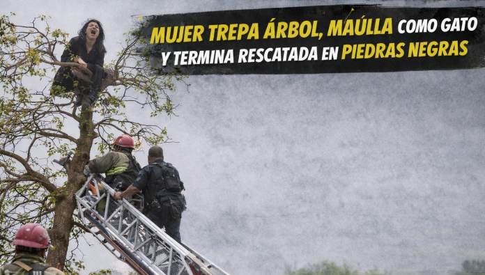Rescatan a mujer que maullaba arriba de un árbol 
