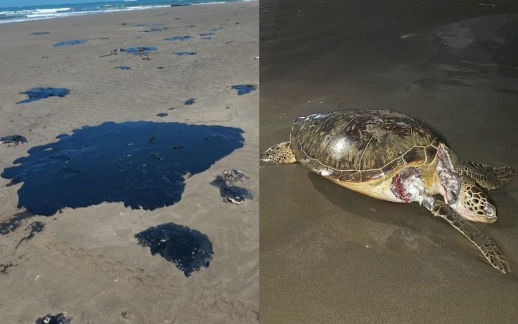 Marina atribuye el derrame a un buque; niega daño ambiental severo en fauna