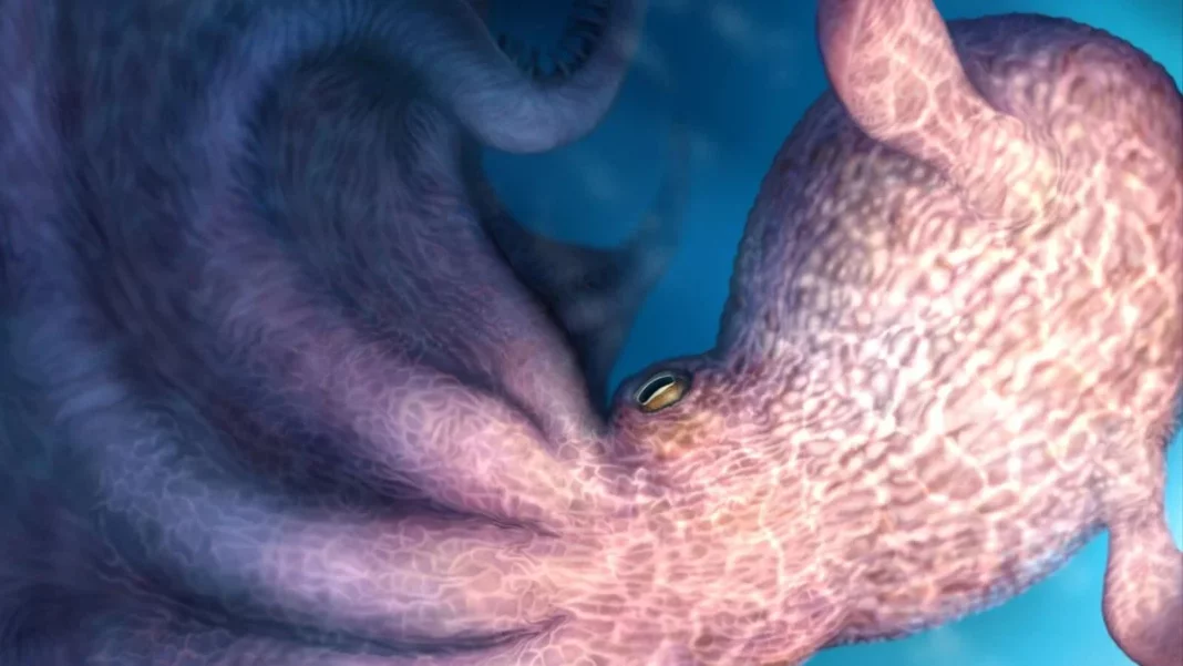 Hallan al verdadero Kraken: un pulpo carnívoro del Cretácico de hasta 19 metros