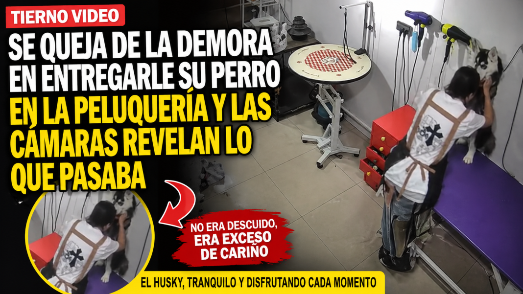 ¡Con  razón no le entregaban a su perrito!