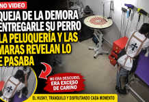 ¡Con  razón no le entregaban a su perrito!