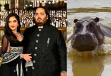 Hijo de multimillonario indio ofrece llevarse a 80 hipopótamos de Escobar para evitar su sacrificio