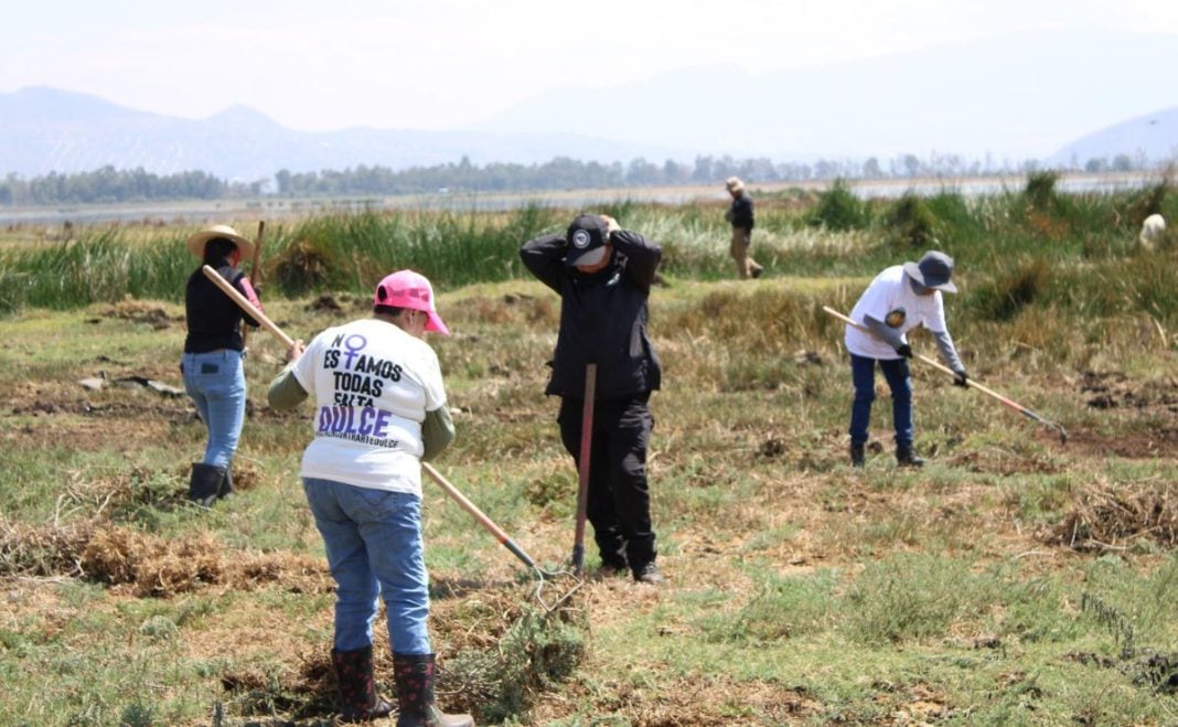 Siguen los hallazgos en el Lago de Chalco: localizan 317 restos óseos