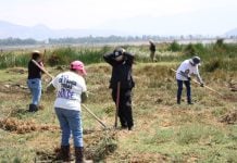 Siguen los hallazgos en el Lago de Chalco: localizan 317 restos óseos Siguen los hallazgos en el Lago de Chalco: localizan 317 restos óseos