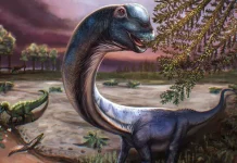 Descubren al Nagatitán, el dinosaurio gigante que pesaba como nueve elefantes