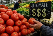 ¿Por qué está tan caro el jitomate? Te explicamos qué está pasando