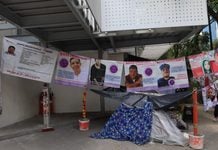 Seguiremos aquí hasta que nos reciban: Buscadoras